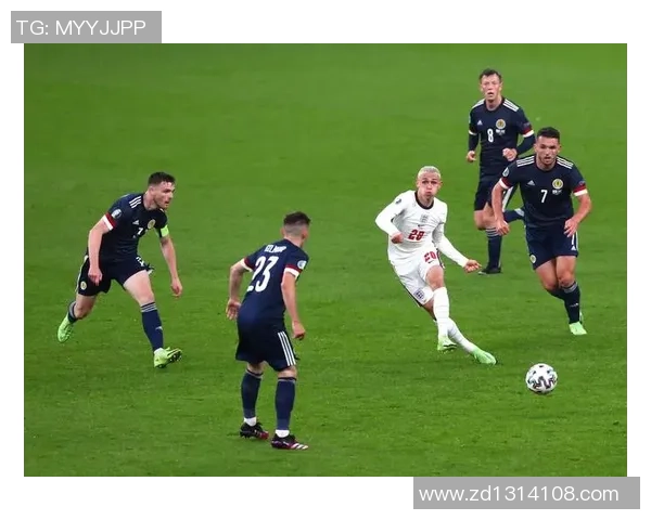 丹麦与法国全场比赛数据分析及精彩瞬间回顾 丹麦与法国全场比赛数据分析及精彩瞬间回顾