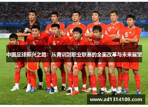 中国足球振兴之路：从青训到职业联赛的全面改革与未来展望