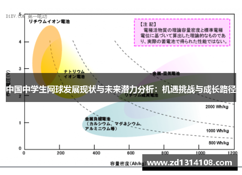 中国中学生网球发展现状与未来潜力分析：机遇挑战与成长路径